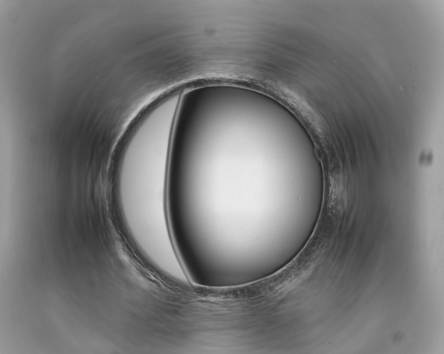 X0000092090580200709121127