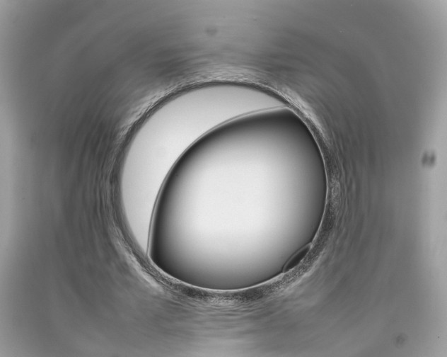 X0000092090581200709121127