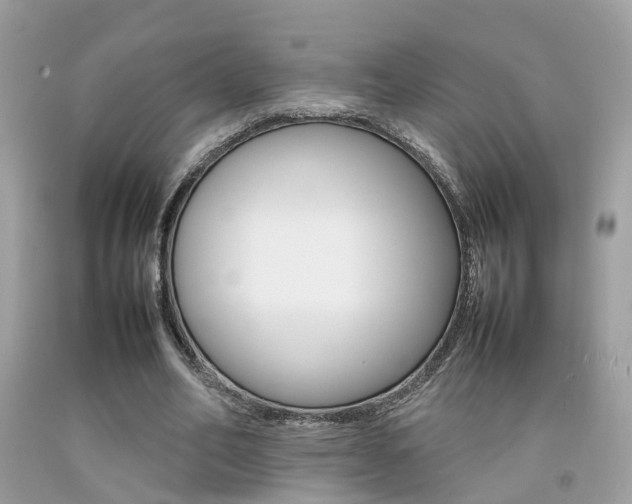 X0000092090582200709121127