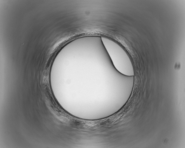X0000092090583200709121127
