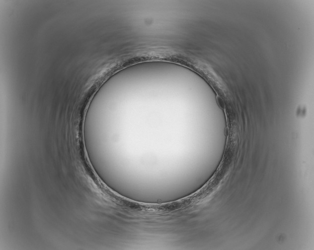 X0000092090585200709121127