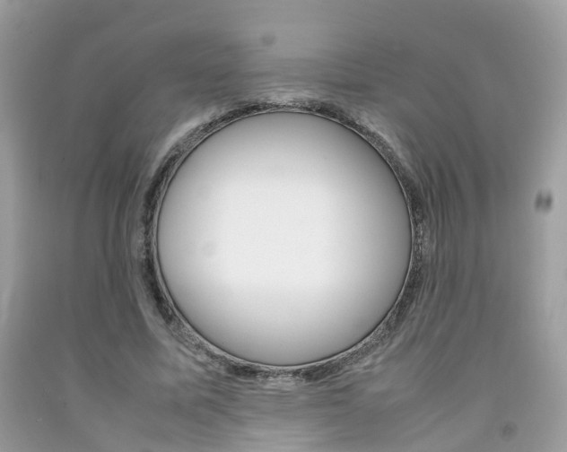 X0000092090587200709121127