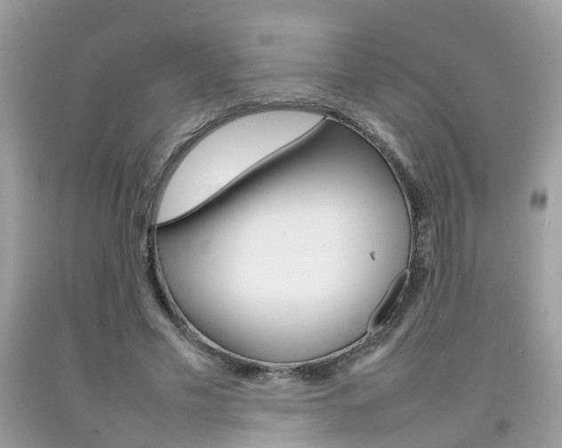 X0000092090589200709121127