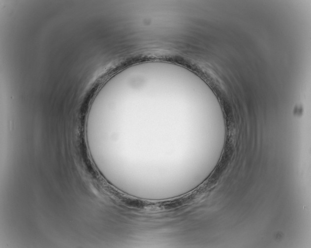 X0000092090591200709121127
