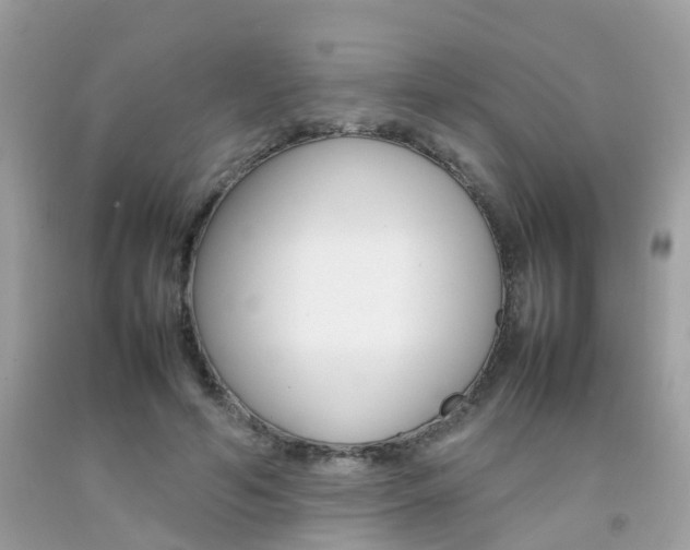 X0000092090594200709121127