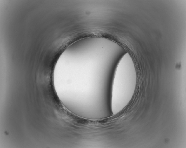 X0000092090595200709121127