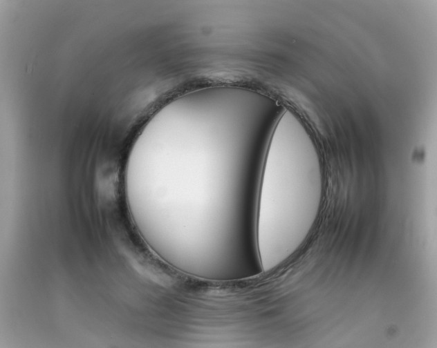 X0000092090596200709121127