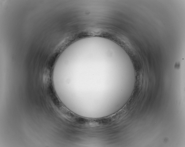 X0000092090598200709121127