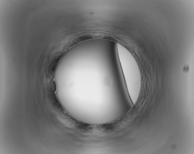 X0000092090601200709121127