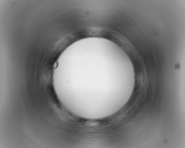 X0000092090602200709121127