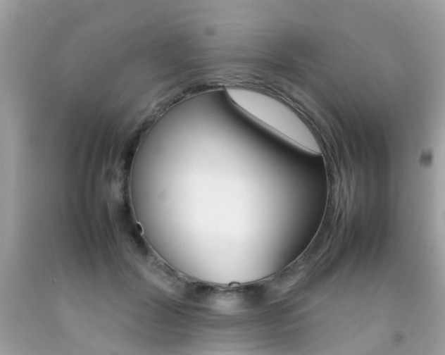 X0000092090604200709121127
