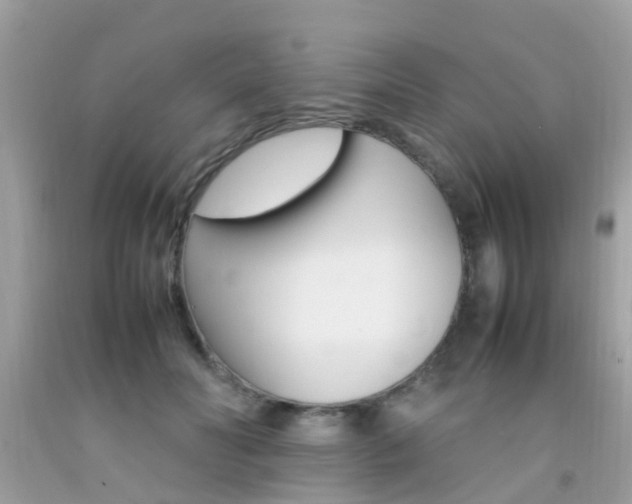 X0000092090606200709121127