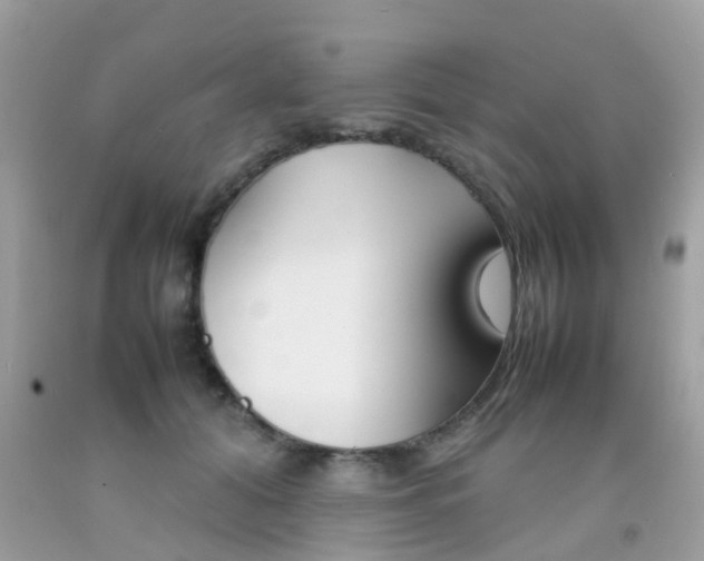 X0000092090608200709121127