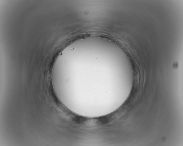 X0000092090609200709121127