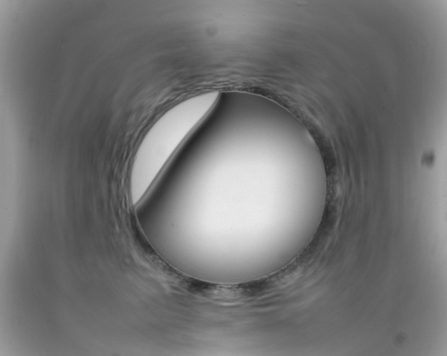 X0000092090615200709121127
