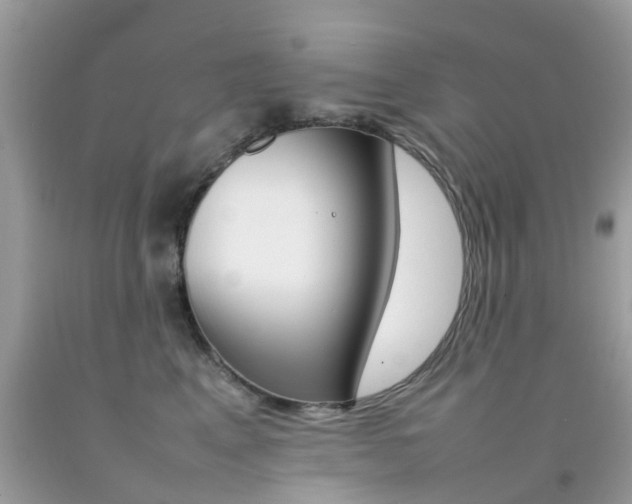 X0000092090617200709121127