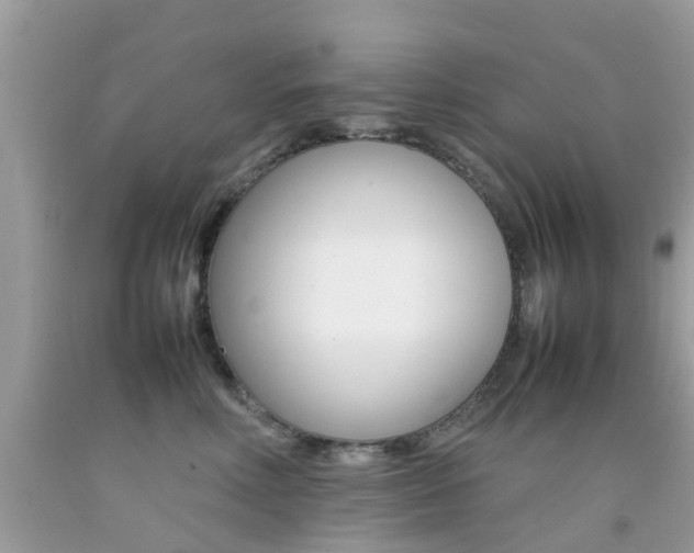 X0000092090618200709121127