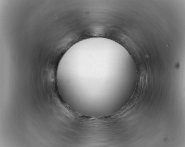 X0000092090620200709121127