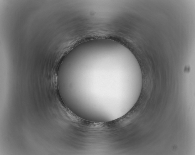 X0000092090624200709121127