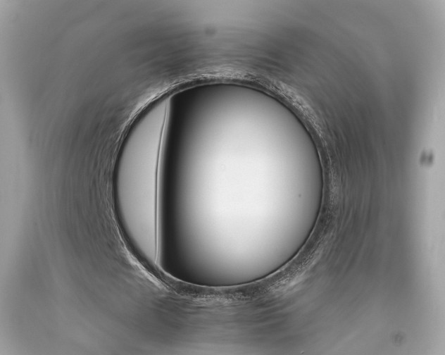 X0000092090625200709121126