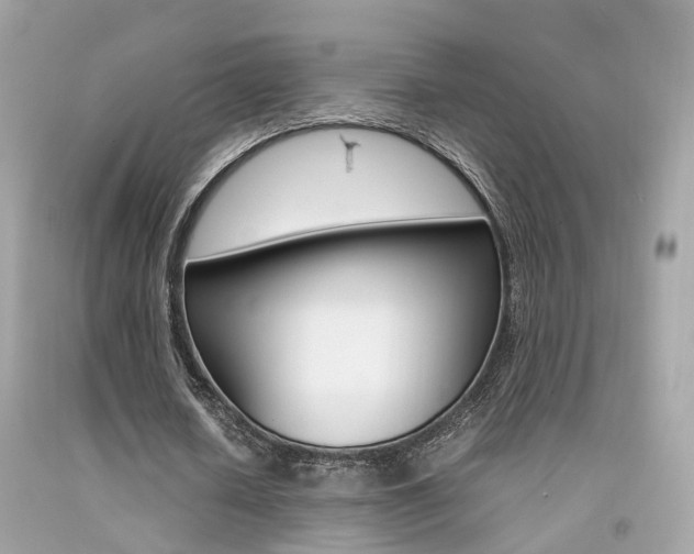X0000092090626200709121126