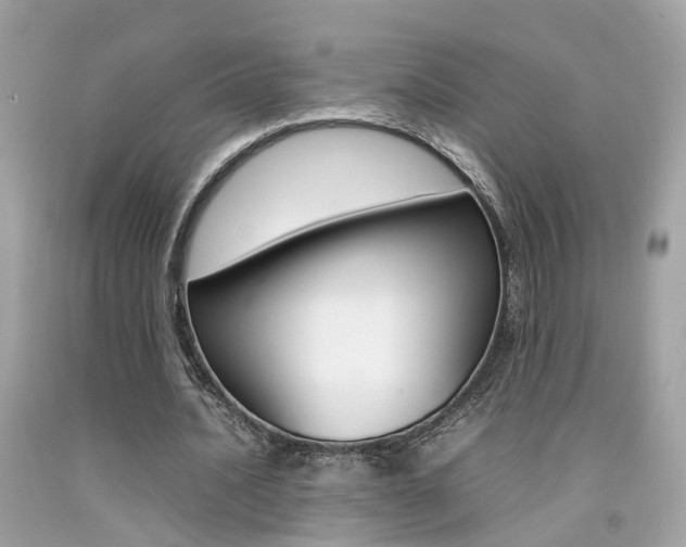 X0000092090628200709121126