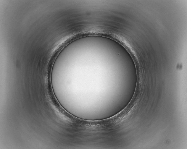 X0000092090629200709121126