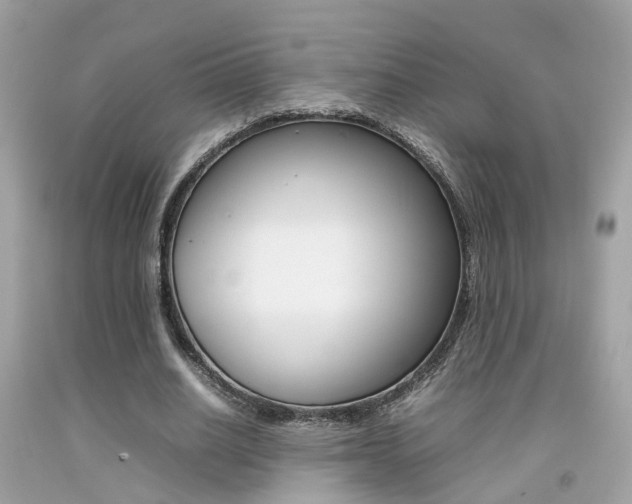 X0000092090630200709121126