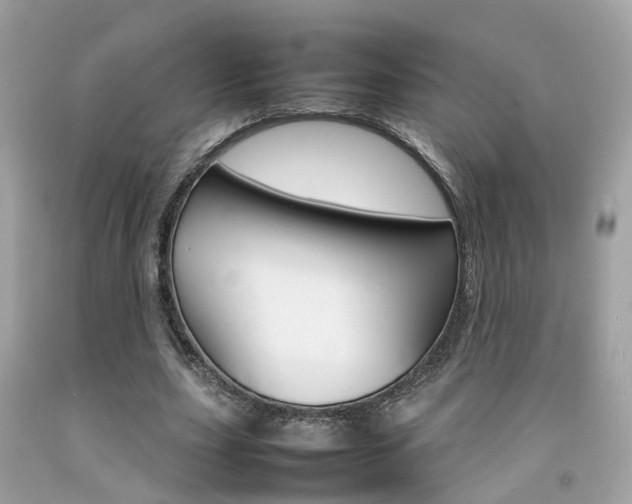 X0000092090631200709121126