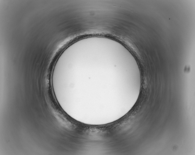X0000092090632200709121126
