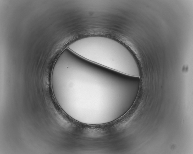 X0000092090633200709121126