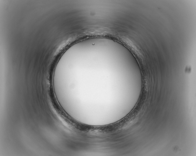 X0000092090634200709121126