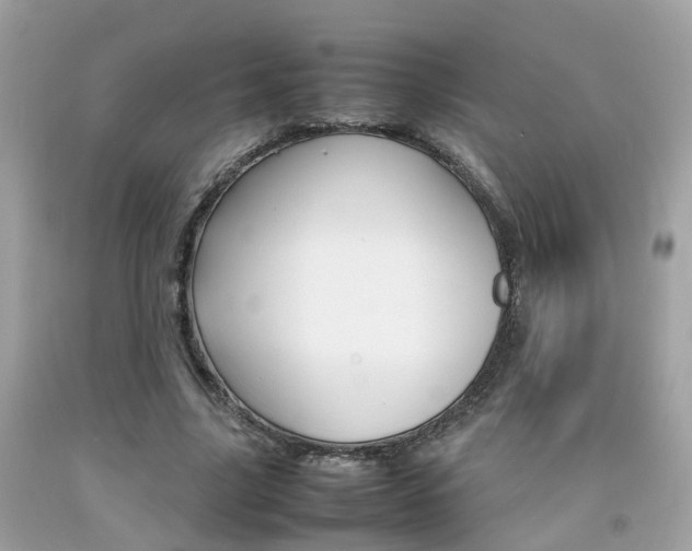 X0000092090635200709121126