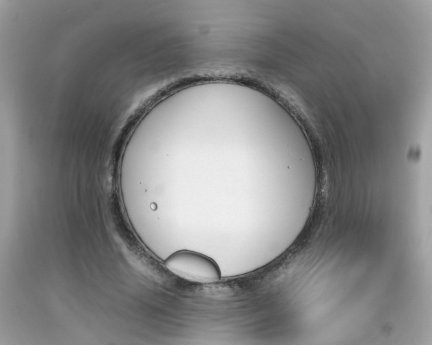 X0000092090636200709121126