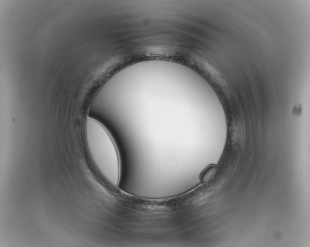 X0000092090637200709121126