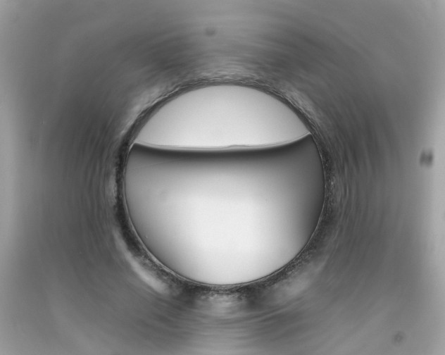 X0000092090638200709121126