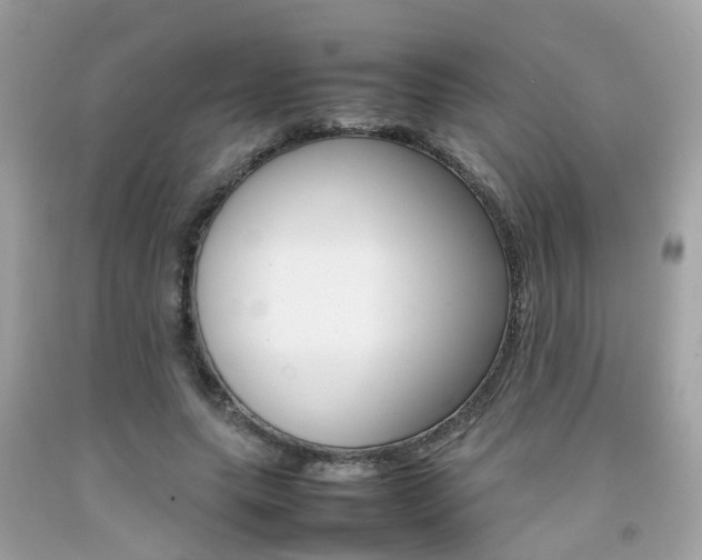X0000092090639200709121126