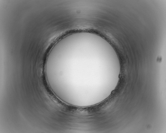 X0000092090640200709121126