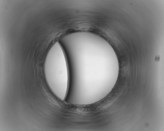 X0000092090641200709121126