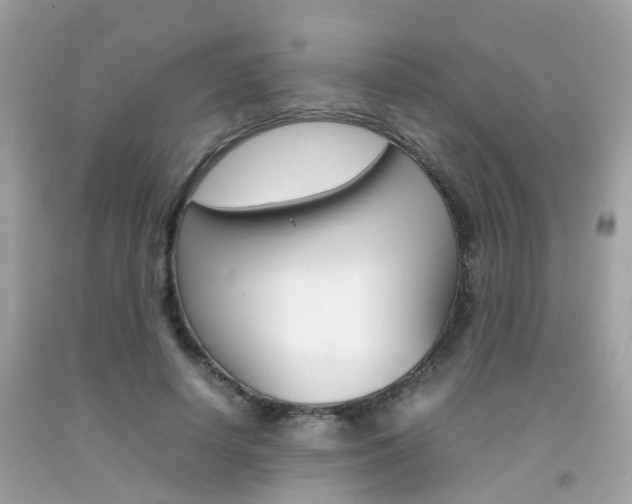 X0000092090642200709121126