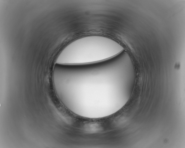 X0000092090643200709121126