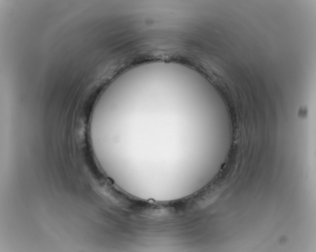 X0000092090646200709121126