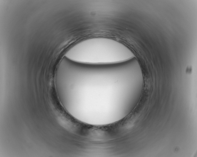 X0000092090648200709121126