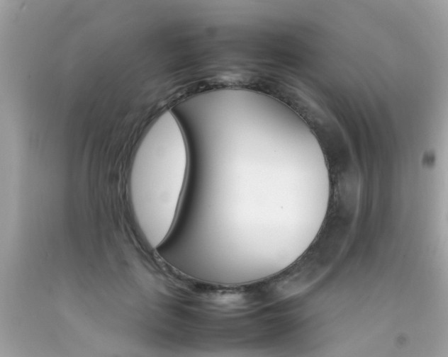 X0000092090651200709121126
