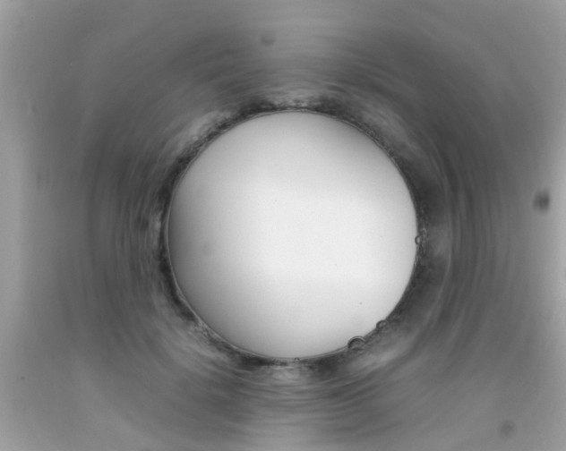 X0000092090652200709121126