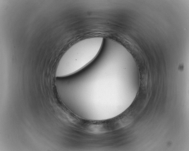 X0000092090653200709121126