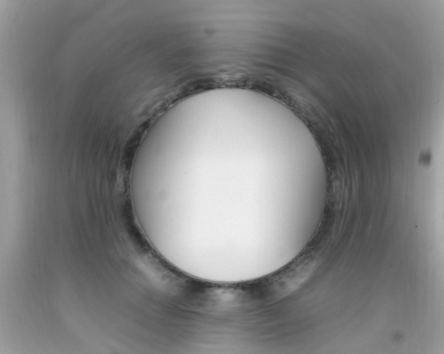 X0000092090654200709121126