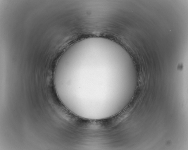 X0000092090656200709121126