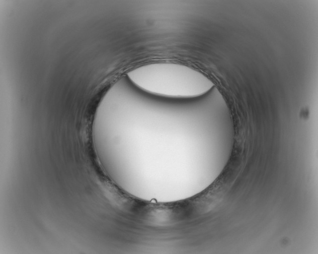 X0000092090658200709121127