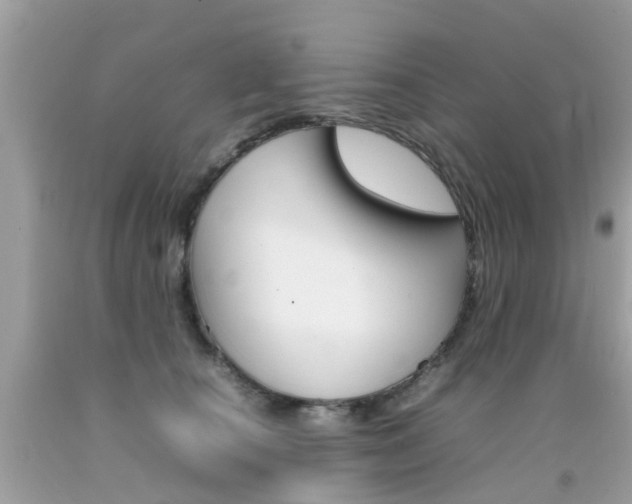 X0000092090660200709121127